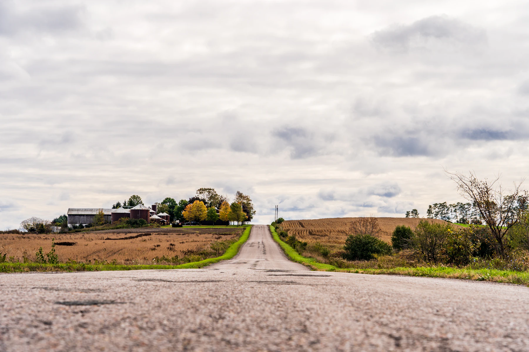 A quiet rural road passing fields near a small Midwestern farm